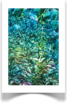 daniel pavon cuellar masterpieces 2